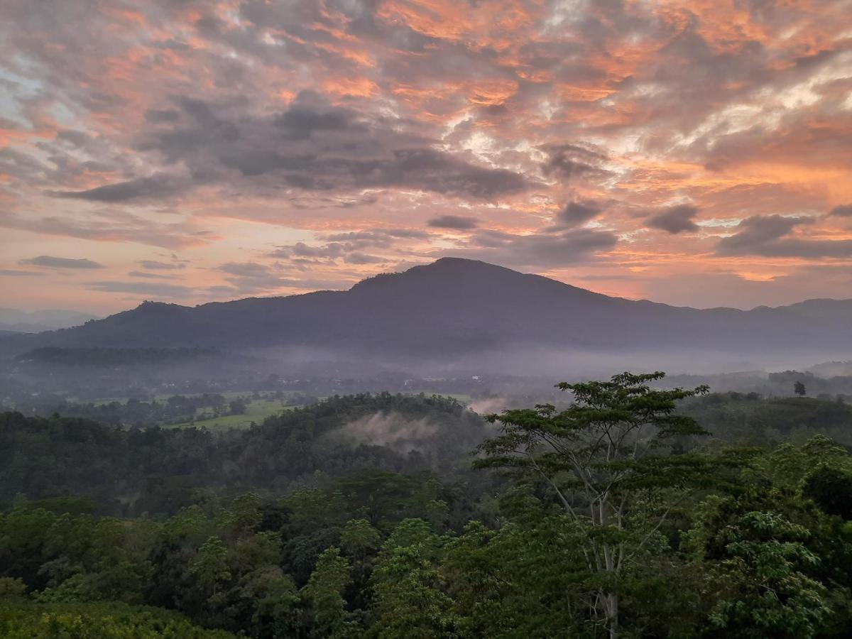 Terrace Cinnamon View Ratnapura Esterno foto