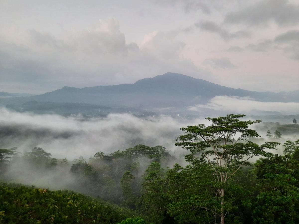 Terrace Cinnamon View Ratnapura Esterno foto